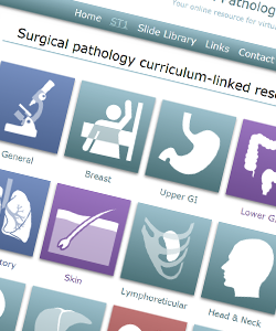 Histopathology eLearning Environment