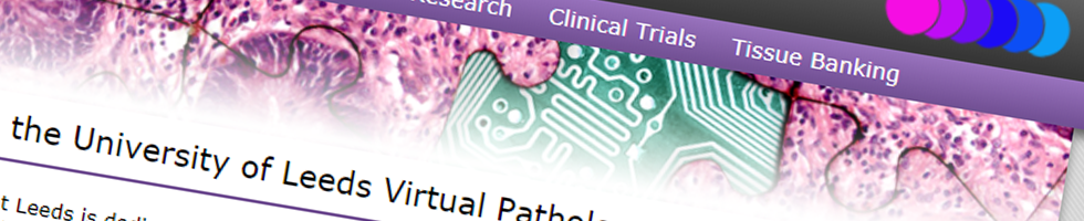 Leeds Virtual Pathology